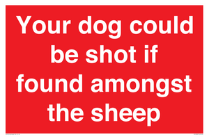 Your dog could be shot if found amongst the sheep